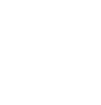 ChanWood logo